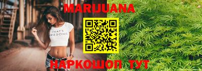 сатива Коммунар