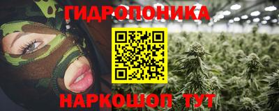 сатива Коммунар
